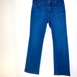 James Jeans Hunter Easy Indigo High Rise Straight Leg Size 27